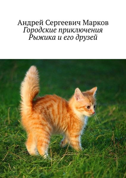 Обложка книги  «Городские приключения Рыжика и его друзей»
