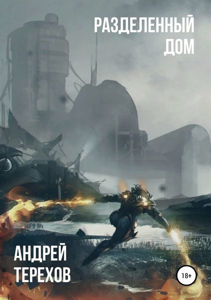 Обложка книги «Разделенный дом»