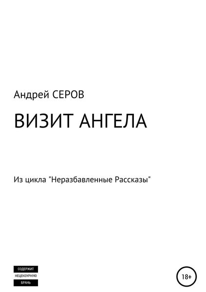 Обложка книги «Визит Ангела»