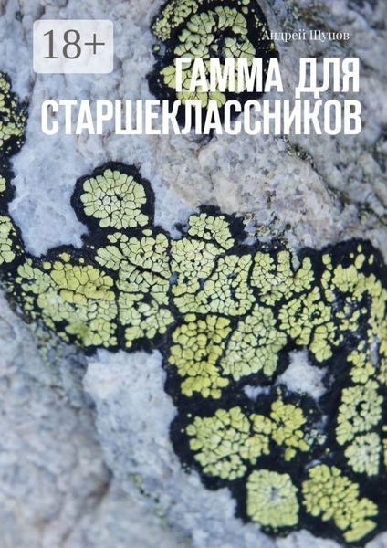 Обложка книги  «Гамма для старшеклассников»