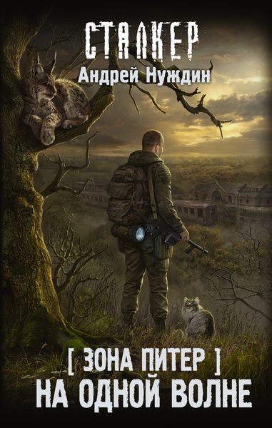 Обложка книги  «Зона Питер. На одной волне»