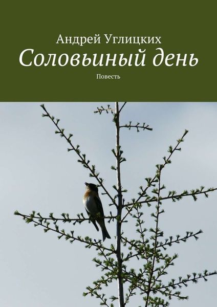 Обложка книги «Соловьиный день. Повесть»