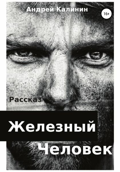 Обложка книги «Железный Человек»