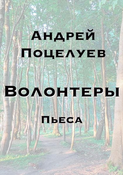 Обложка книги  «Волонтеры»