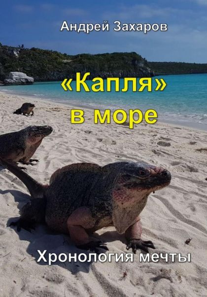 Обложка книги  «Капля в море»
