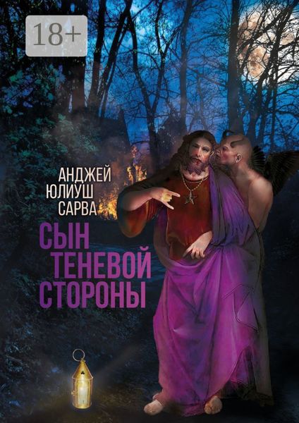 Обложка книги «Сын теневой стороны»