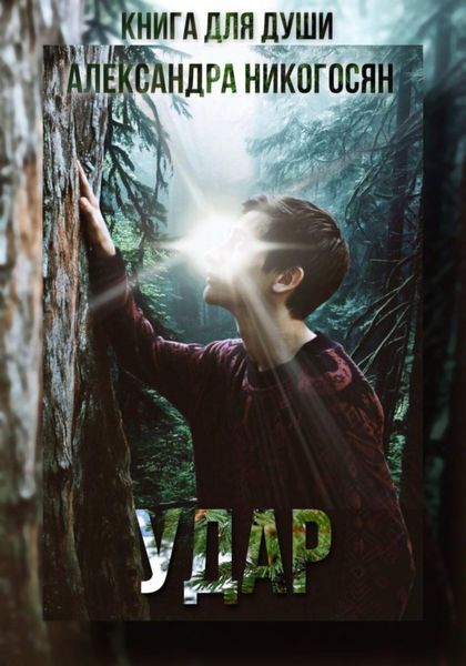 Обложка книги  «Удар»