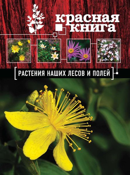 Обложка книги  «Красная книга. Растения наших лесов и полей»
