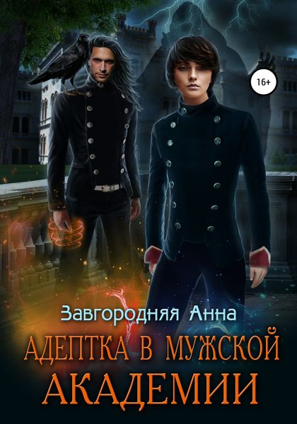 Обложка книги  «Адептка в Мужской Академии»