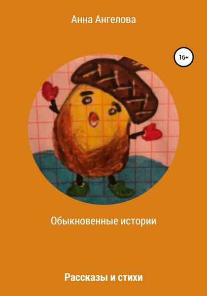 Обложка книги  «Обыкновенные истории»