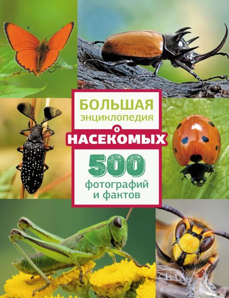 Обложка книги  «Большая энциклопедия о насекомых. 500 фотографий и фактов»