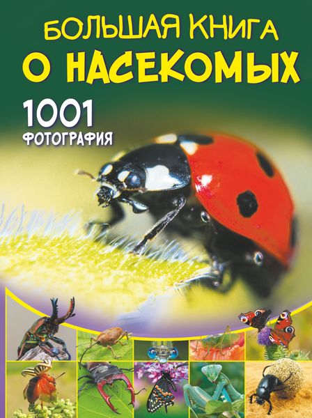 Обложка книги  «Большая книга о насекомых. 1001 фотография»