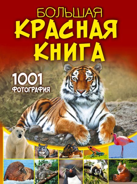 Обложка книги  «Большая красная книга. 1001 фотография»