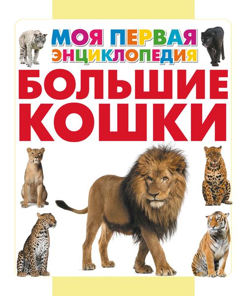 Обложка книги  «Большие кошки»