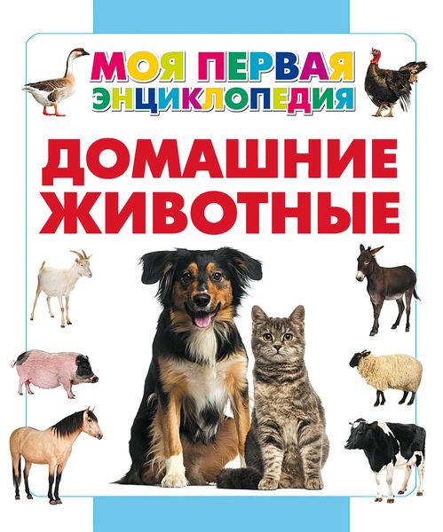 Обложка книги  «Домашние животные»