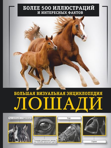 Обложка книги  «Лошади. Большая визуальная энциклопедия»
