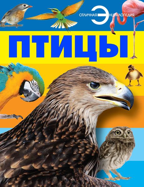 Обложка книги «Птицы»