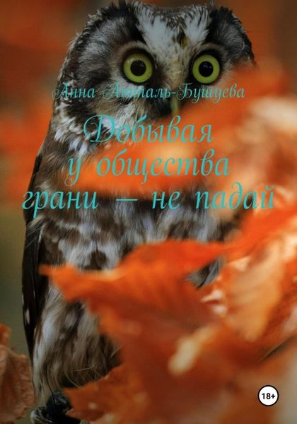 Обложка книги «Добывая у общества грани – не падай»
