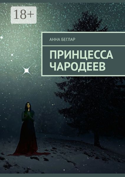 Обложка книги «Принцесса чародеев»