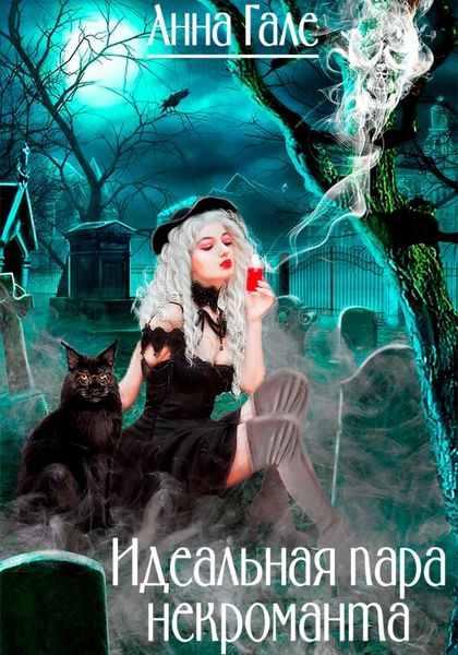 Обложка книги «Идеальная пара некроманта»