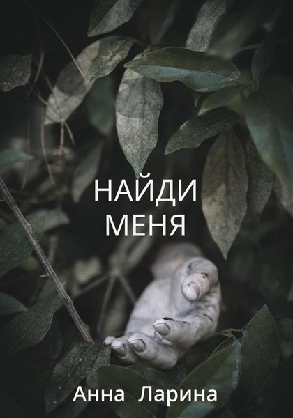 Обложка книги «Найди меня»