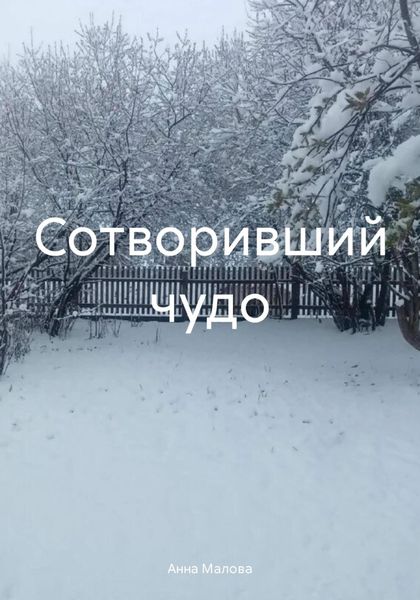 Обложка книги  «Сотворивший чудо»