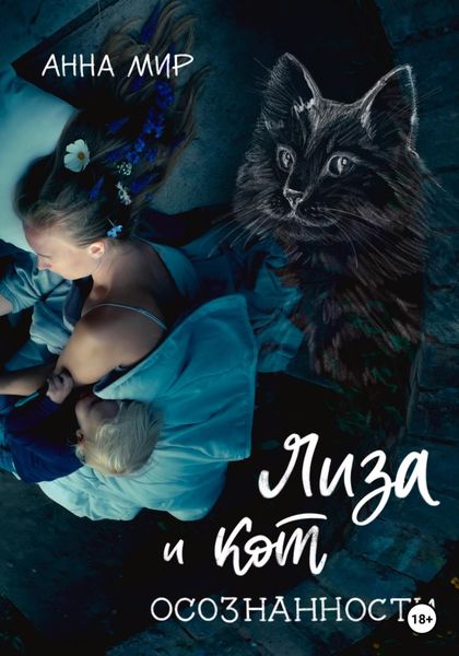 Обложка книги  «Лиза и Кот осознанности»