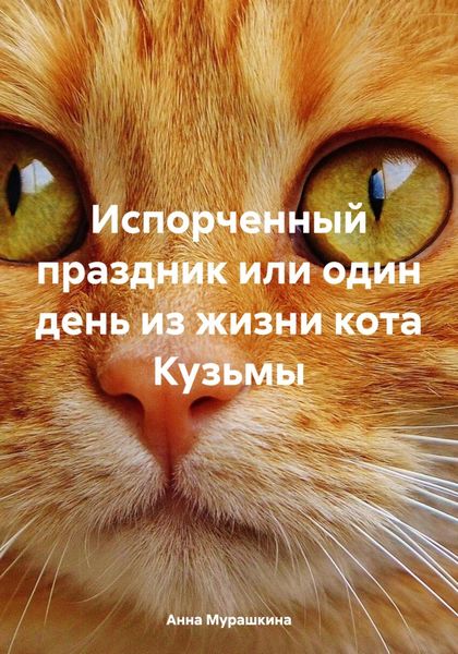 Обложка книги «Испорченный праздник или один день из жизни кота Кузьмы»