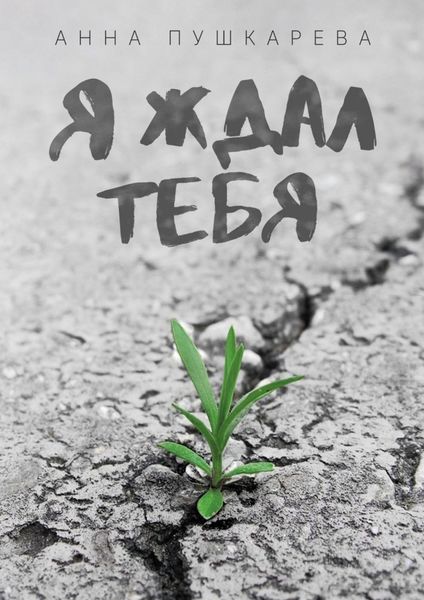 Обложка книги  «Я ждал тебя…»