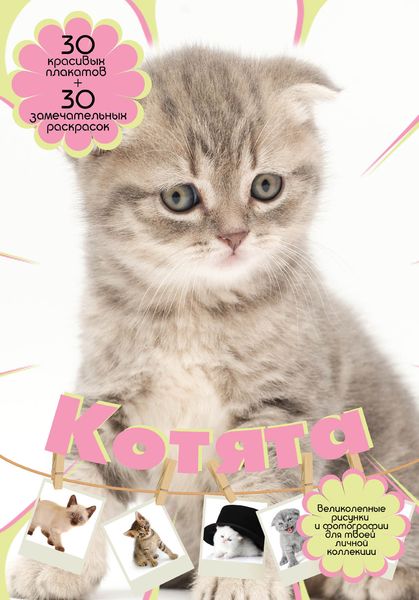 Обложка книги «Котята»