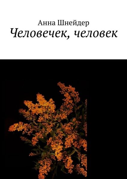 Обложка книги «Человечек, человек»