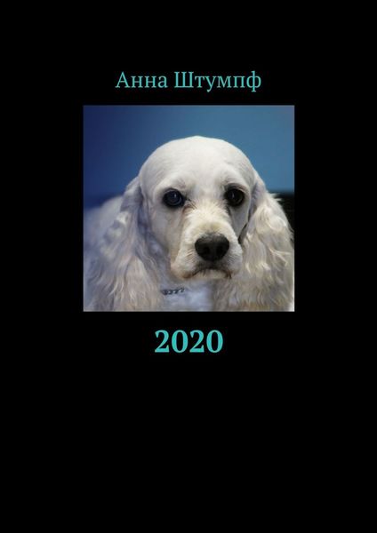 Обложка книги  «2020»