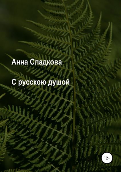 Обложка книги «С русскою душой»
