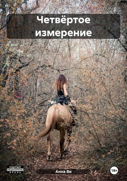 Обложка книги  «Четвёртое измерение»