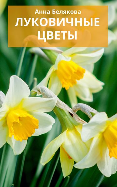 Обложка книги «Луковичные цветы»
