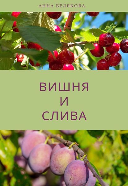 Обложка книги «Вишня и слива»
