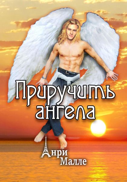 Обложка книги  «Приручить ангела»