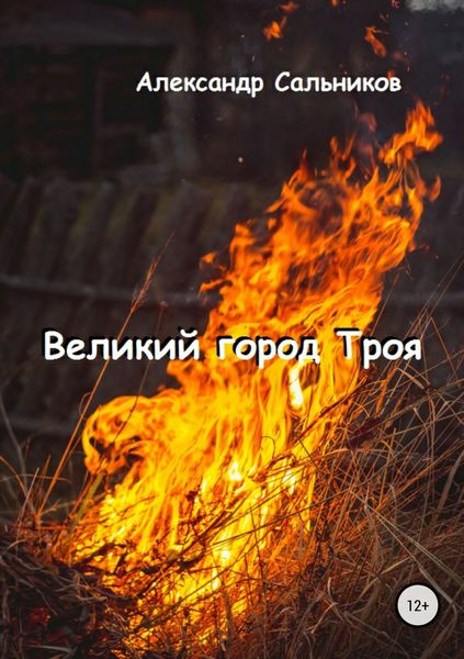 Обложка книги  «Великий город Троя»