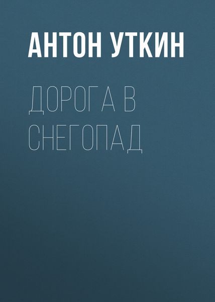 Обложка книги  «Дорога в снегопад»