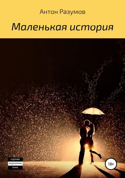Обложка книги  «Маленькая история»