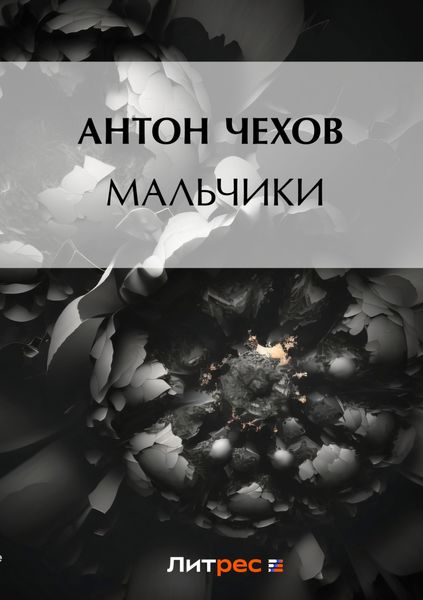 Обложка книги  «Мальчики»