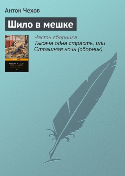 Обложка книги  «Шило в мешке»