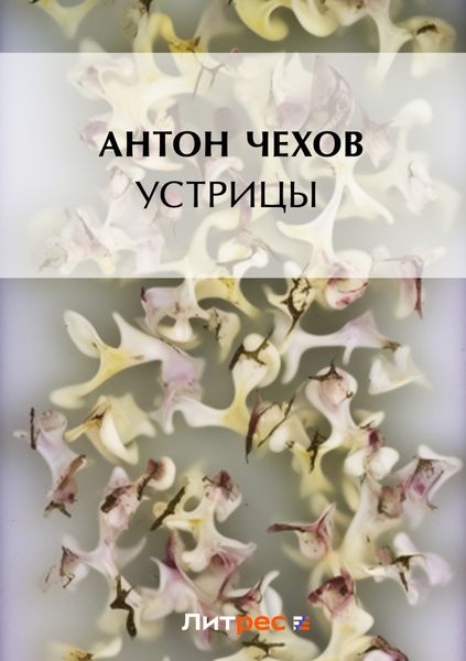 Обложка книги  «Устрицы»