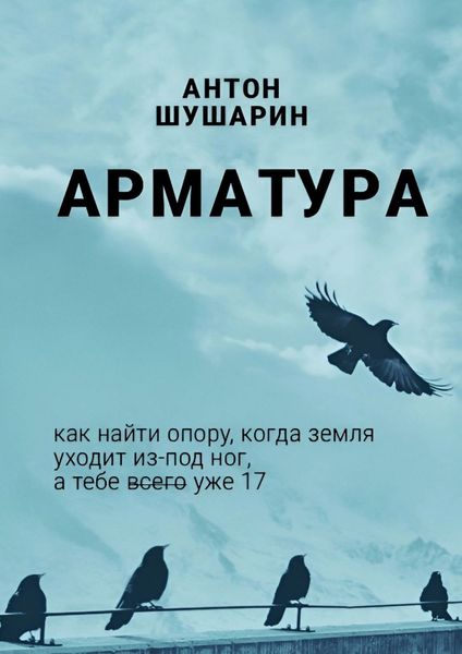 Обложка книги  «Арматура»