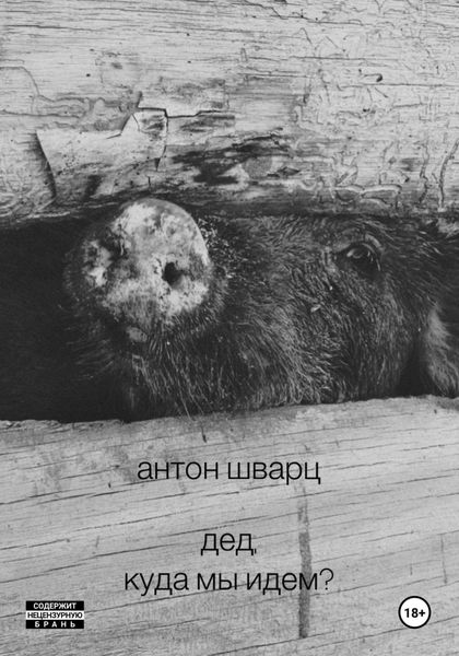 Обложка книги  «Дед, куда мы идем?»