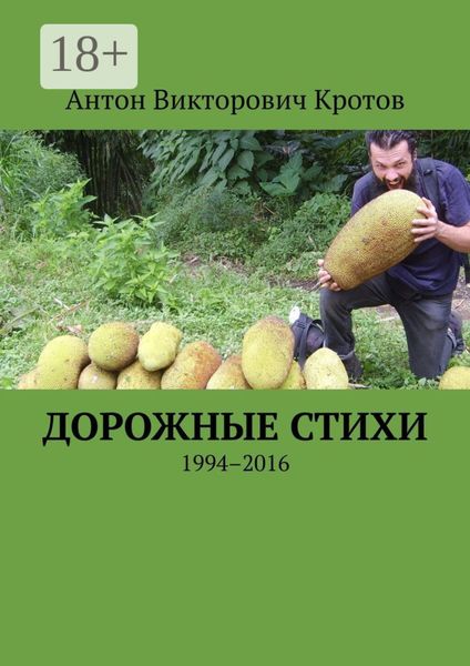Обложка книги «Дорожные стихи. 1994–2016»
