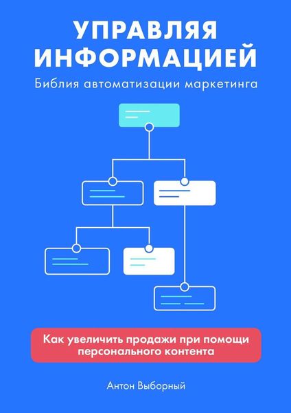 Обложка книги «Управляя информацией»