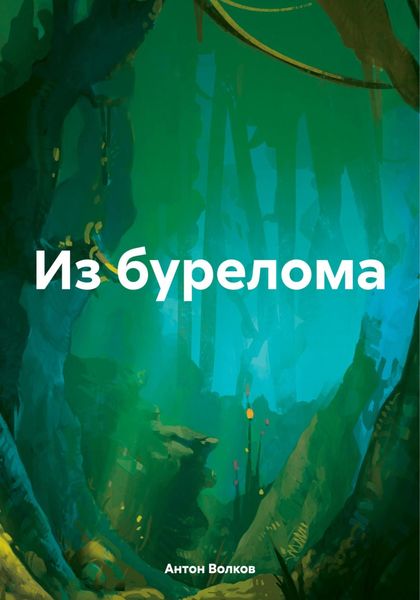 Обложка книги «Из бурелома»