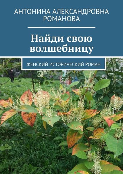 Обложка книги  «Найди свою волшебницу. Женский исторический роман»