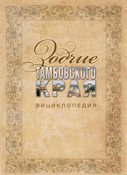 Обложка книги  «Зодчие Тамбовского края»